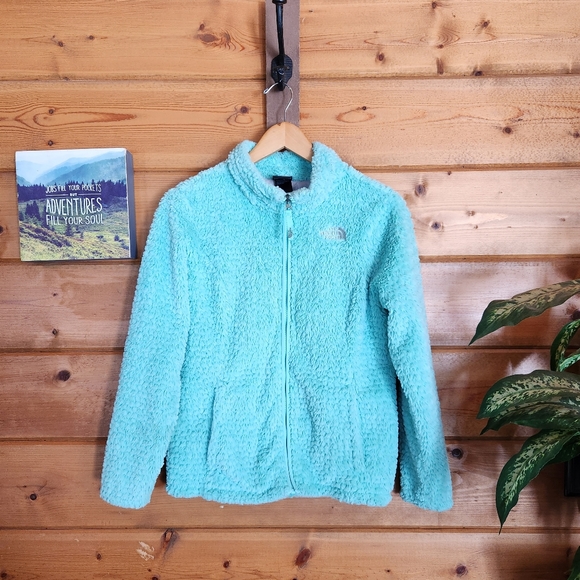 The North Face Other - The North Face 💜 Girl Laurel Fleece Jacket Green Full Zip Lined Coat Sz L 14/16
